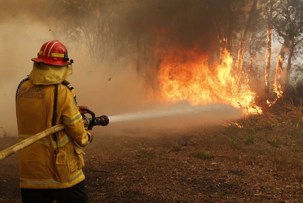 bushfire burnt waste